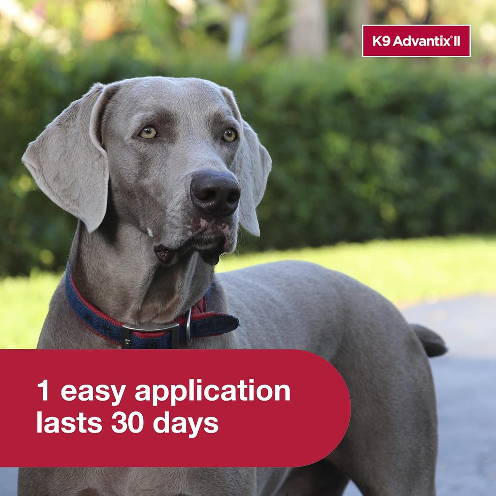 K9 Advantix II Flea and Tick Treatment for Extra Large Dogs – 6 Doses