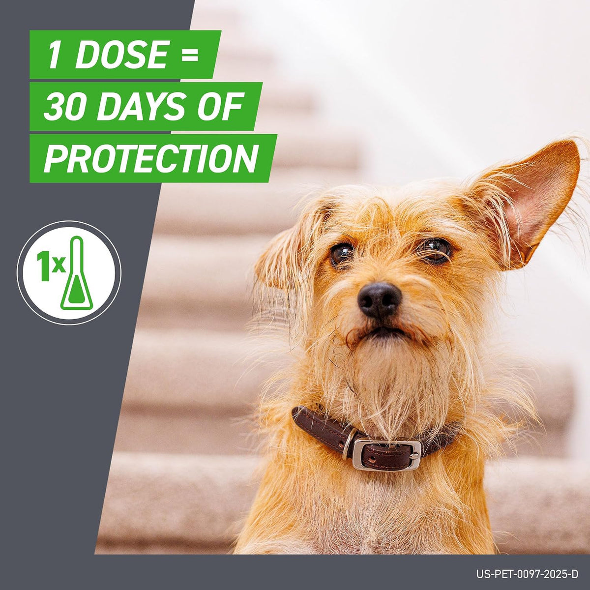 FRONTLINE Plus Flea and Tick Treatment for Medium Dogs 23–44 lbs – 6 Doses, New