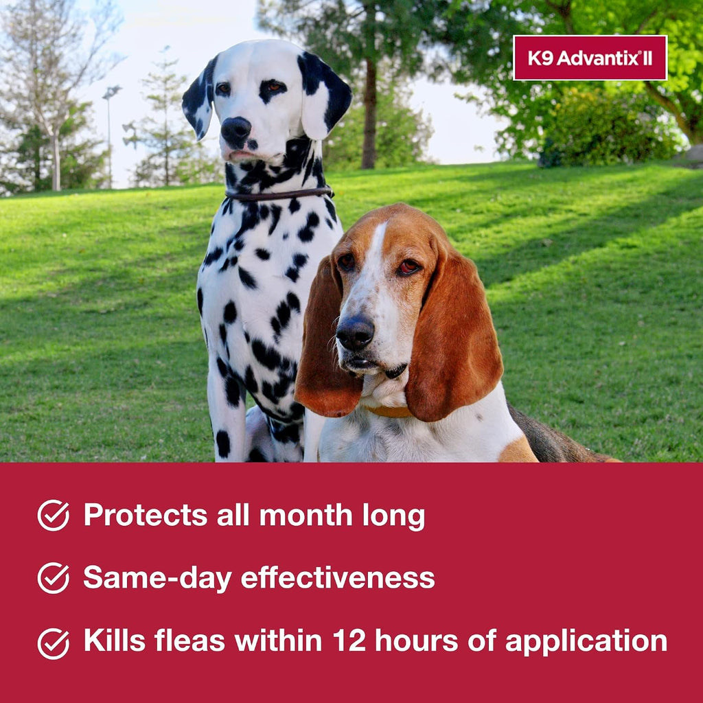 K9 Advantix II Flea and Tick Treatment for Extra Large Dogs – 6 Doses